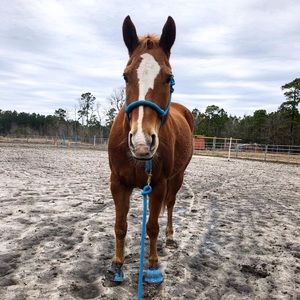 Meet your Posher, Karly